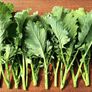 Spring Raab, Broccoli Seeds - Packet thumbnail number null